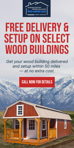 WOOD BUILDINGS WINTER